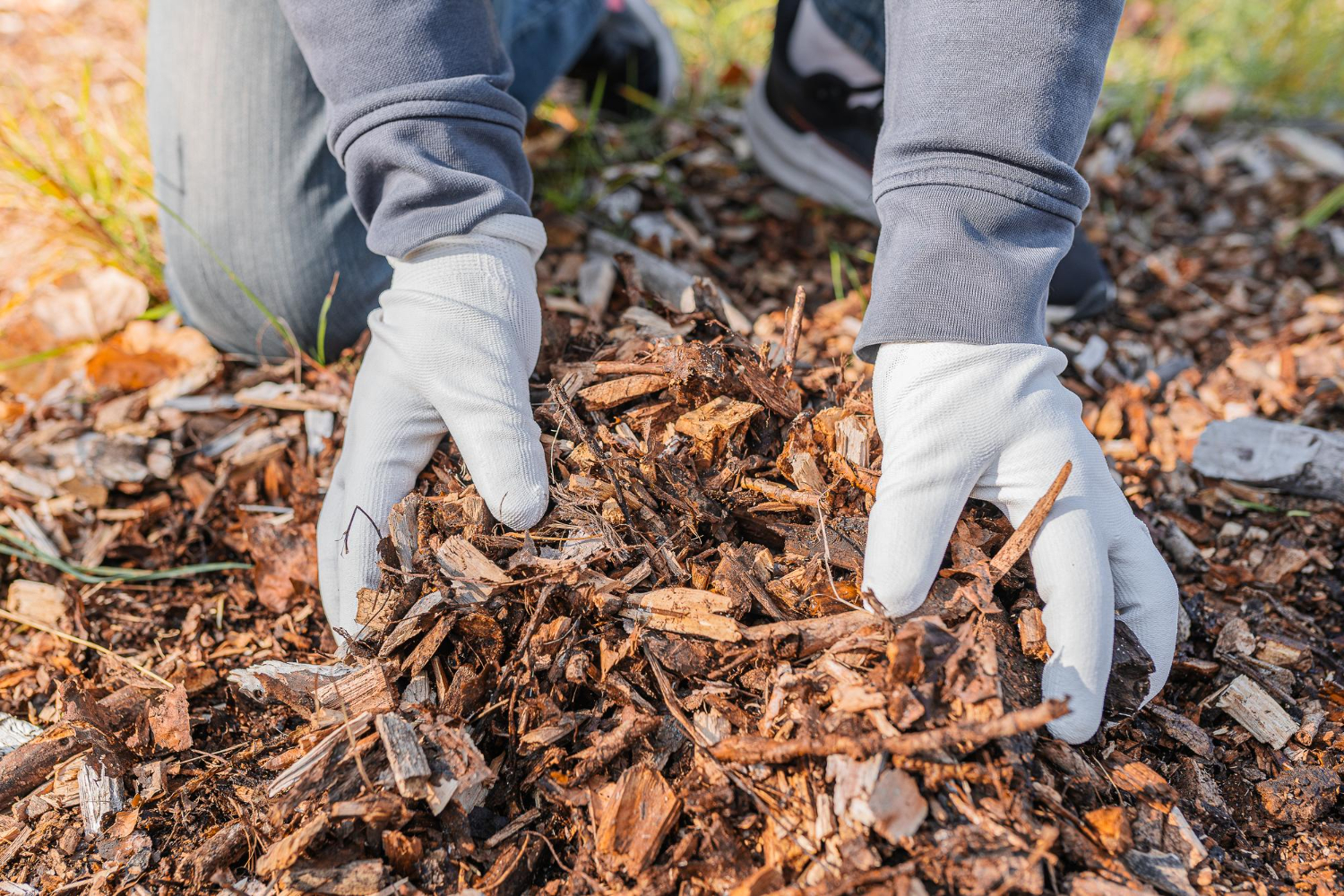 How Mulch Can Conserve Water In Your Garden