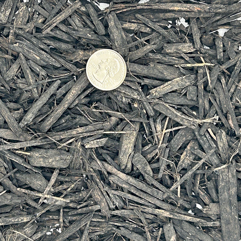 BLACK DYED CHIPS - Image 2