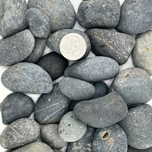 BLACK-MEXICAN BEACH PEBBLE