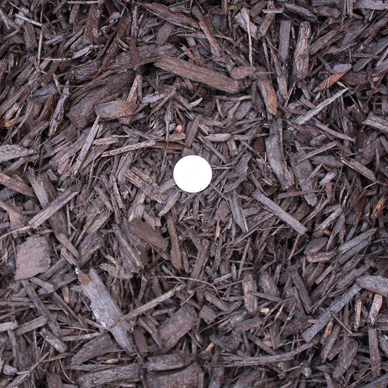 BROWN DYED CHIPS - Image 3