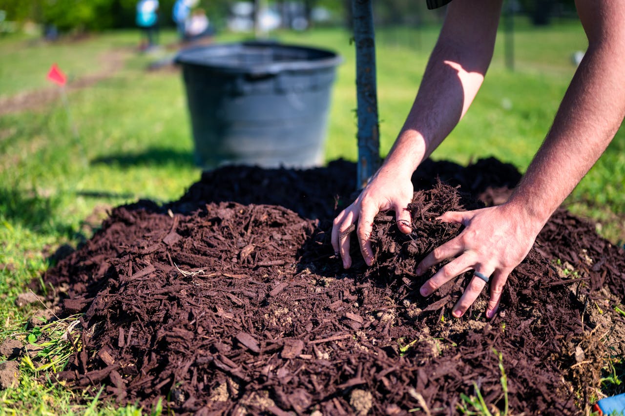 How To Use Mulch For Protecting Plant Roots