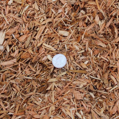 PLAYGROUND CHIPS - CERTIFIED