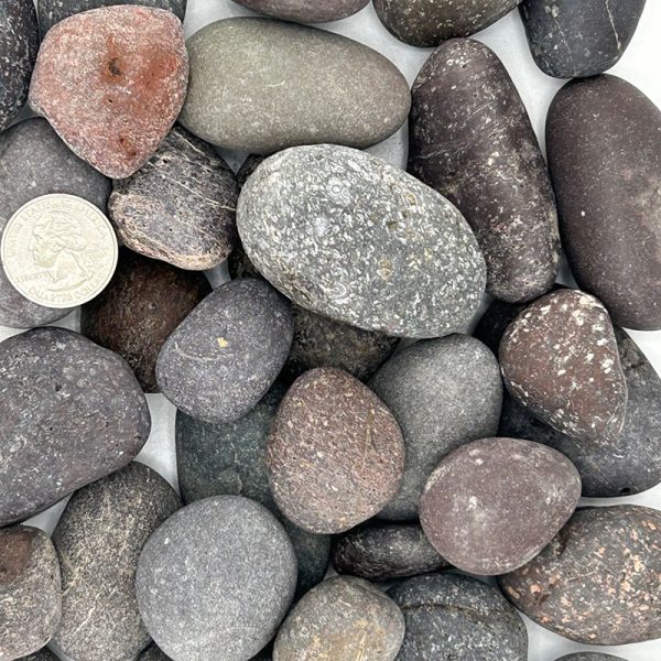 RED -MEXICAN BEACH PEBBLE