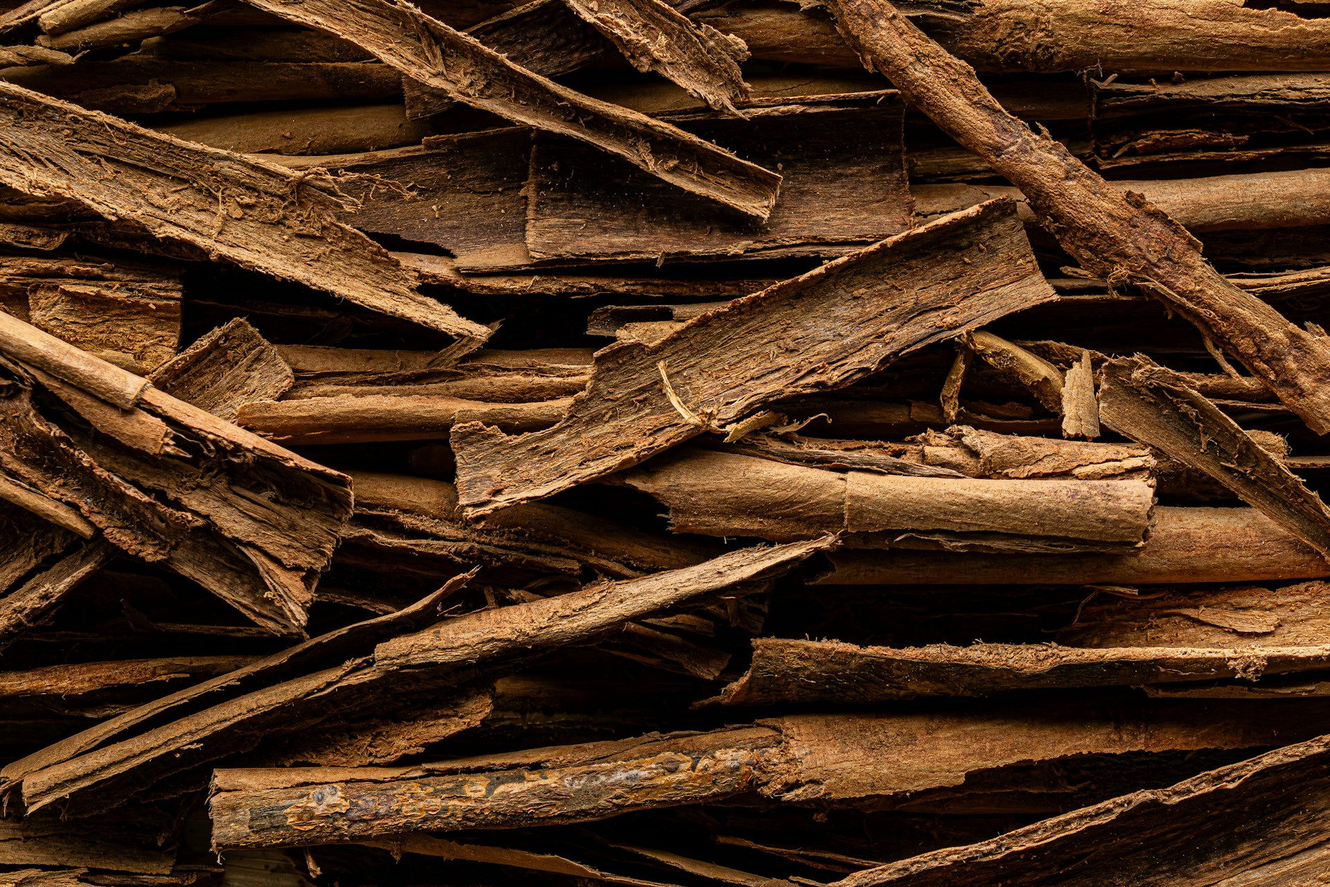 Maximizing The Benefits Of Mulch In Landscaping