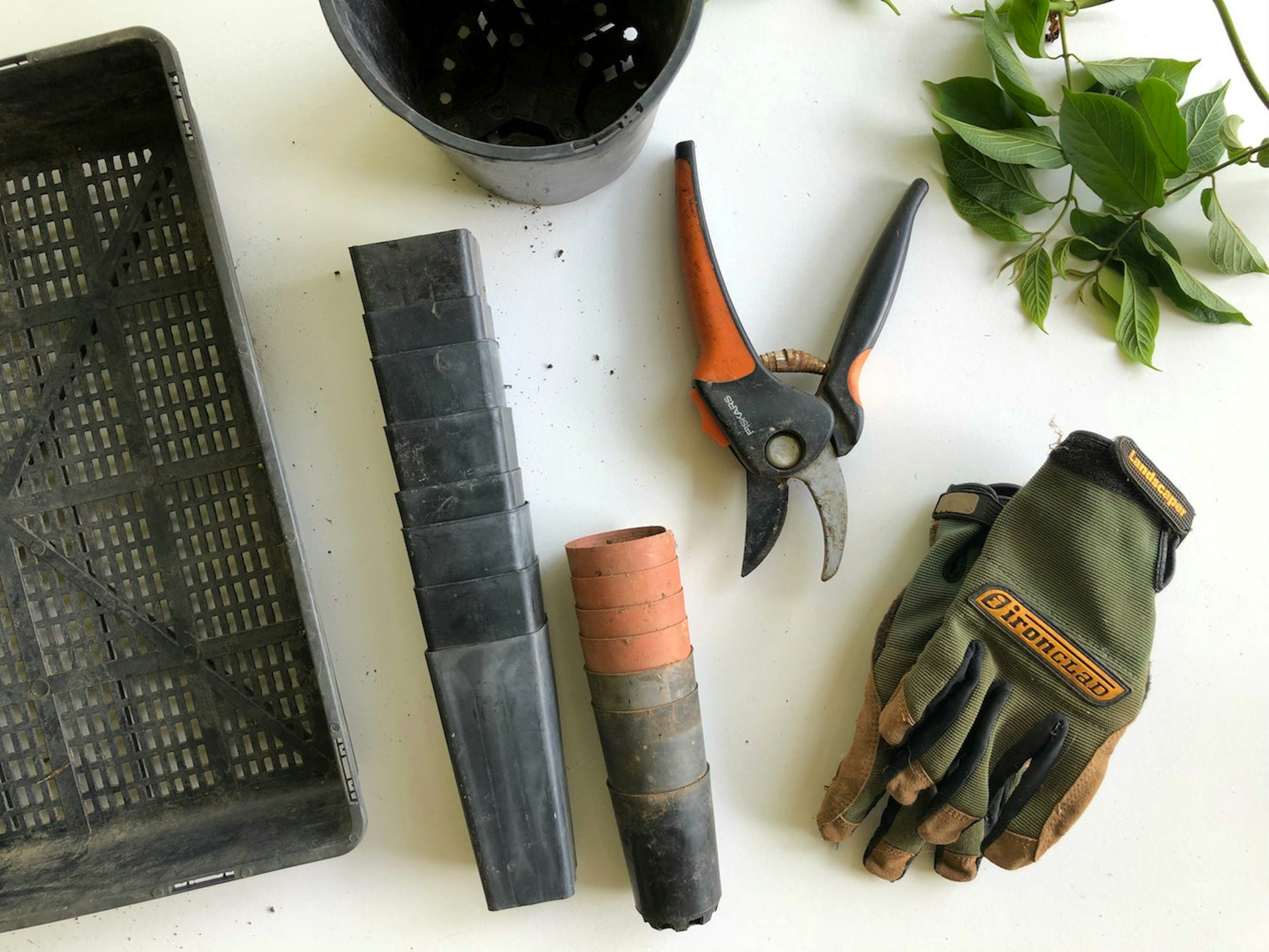 Toolkit Essentials For Beginner Landscapers