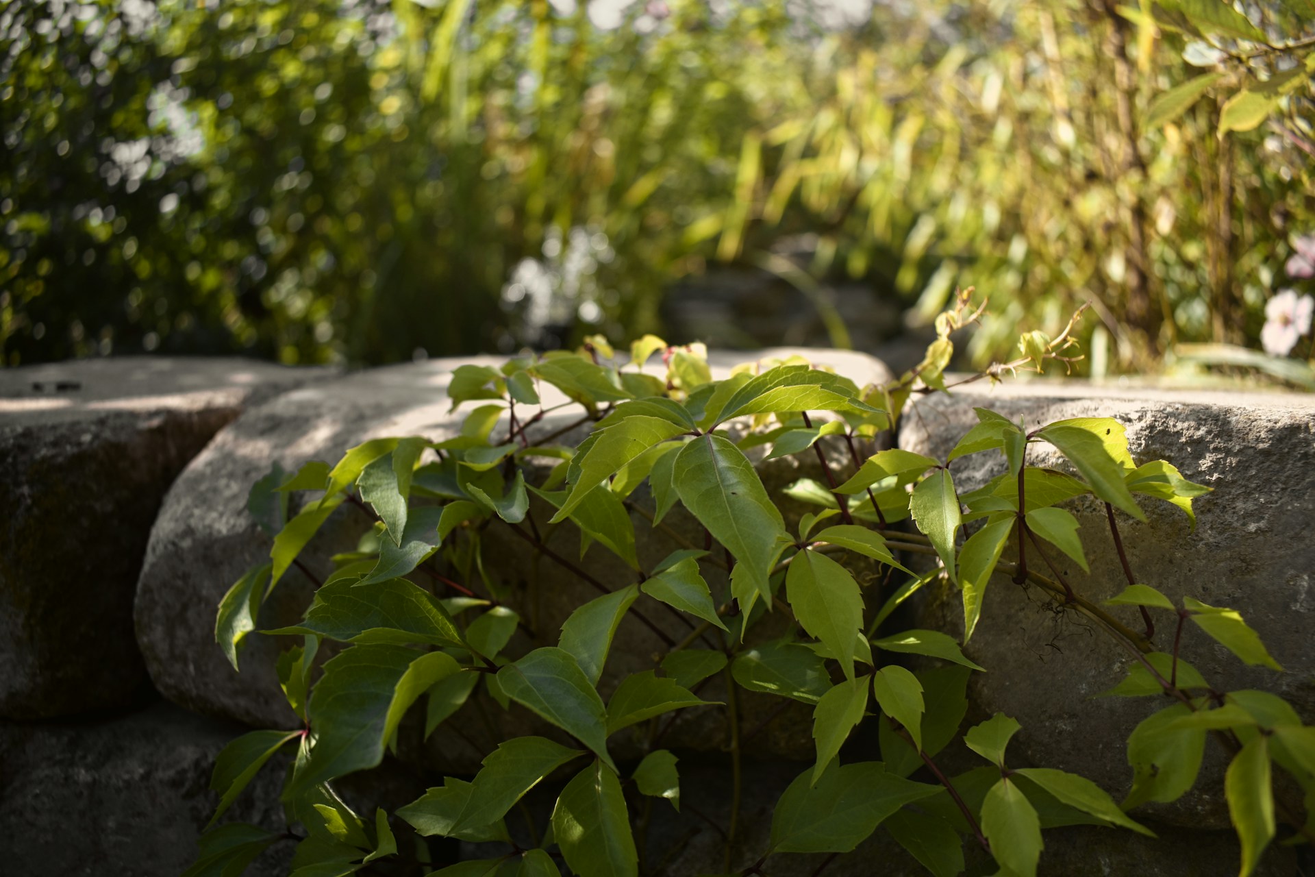 Using Stone Material For Decorative Garden Borders