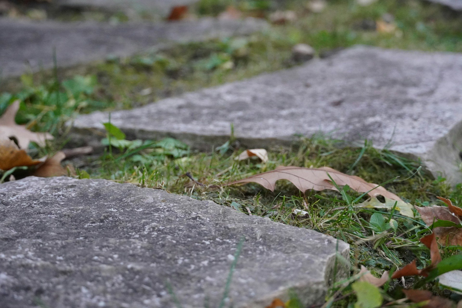 Creative Landscaping Ideas Using Stone Material