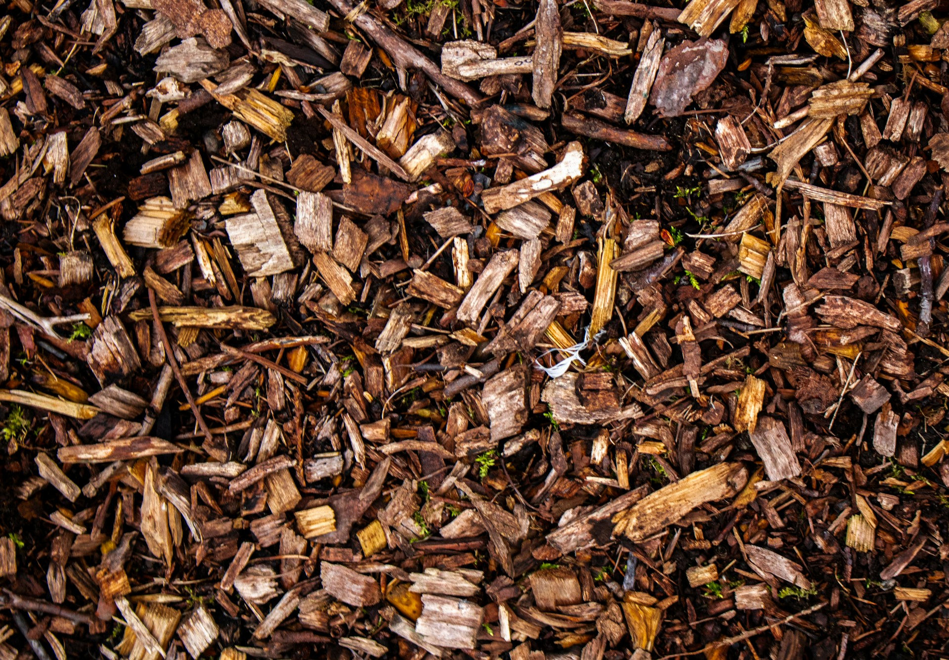 Creating A Water-Wise Garden With Mulch