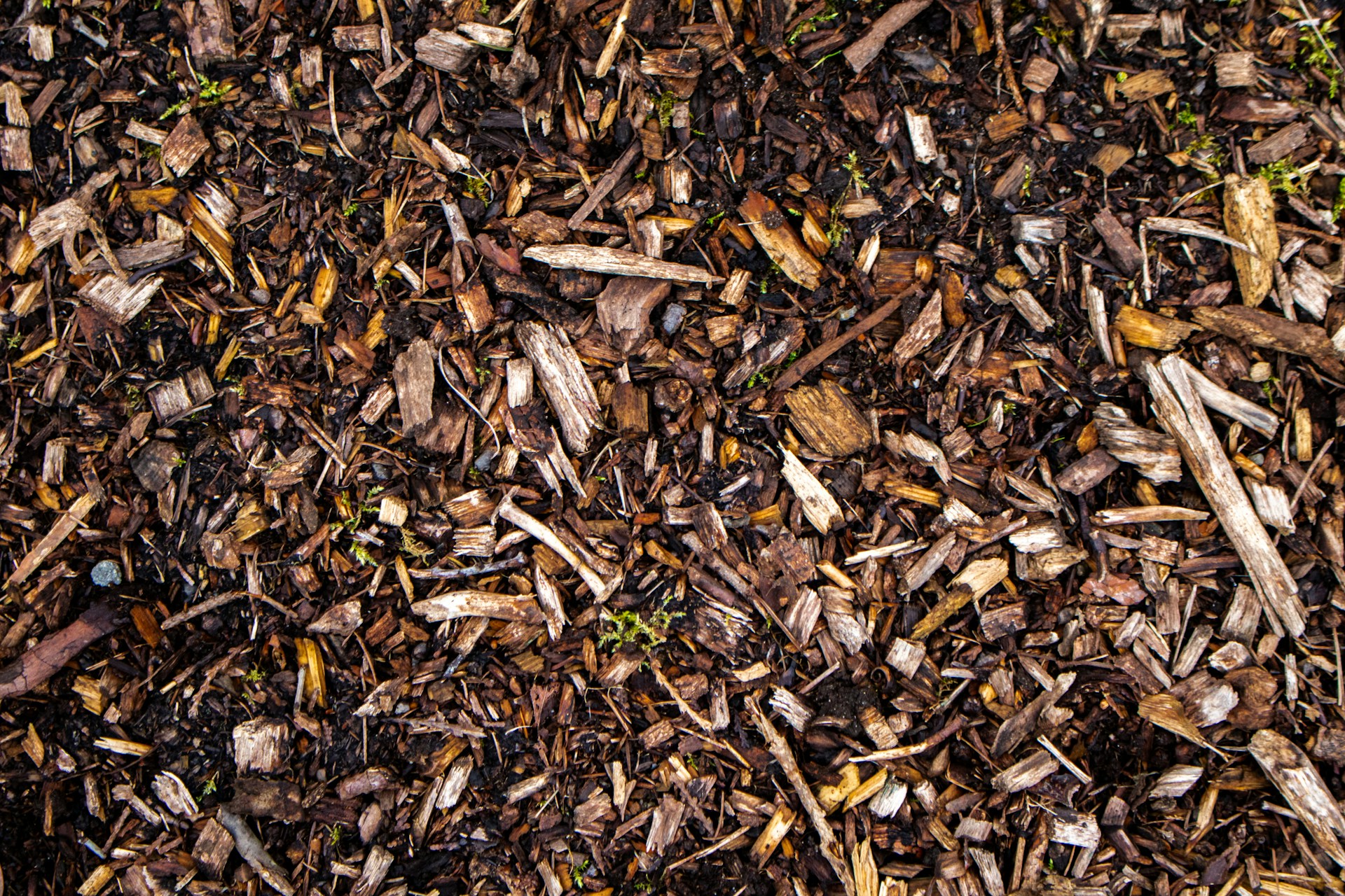 Using Mulch To Improve Soil Aeration