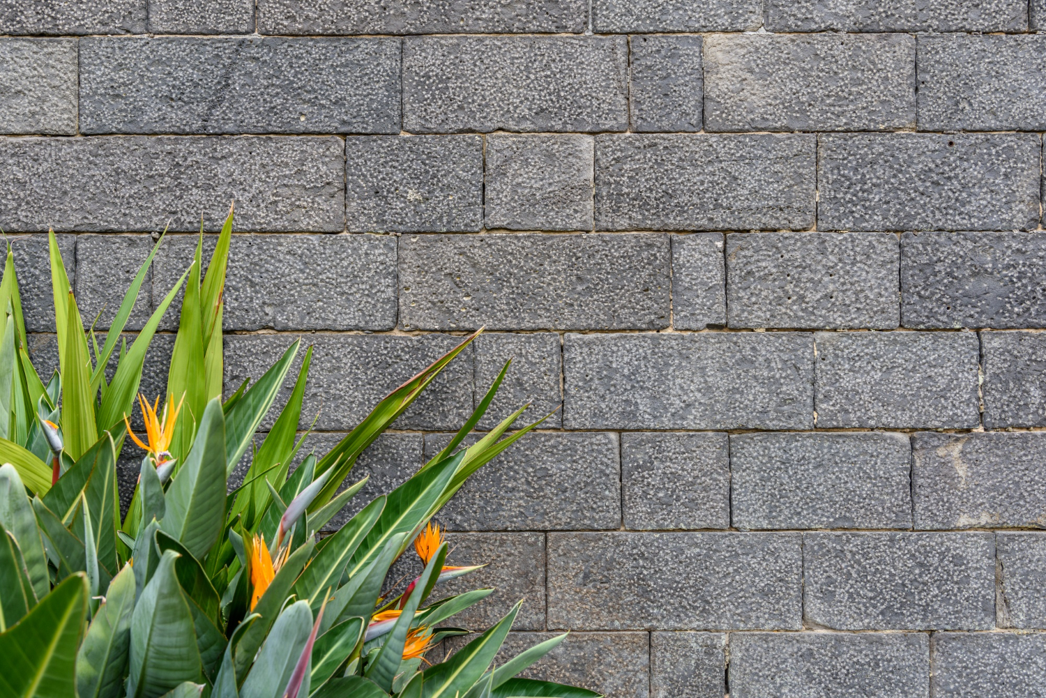 How to Spot Weak Points in a Brick Retaining Wall