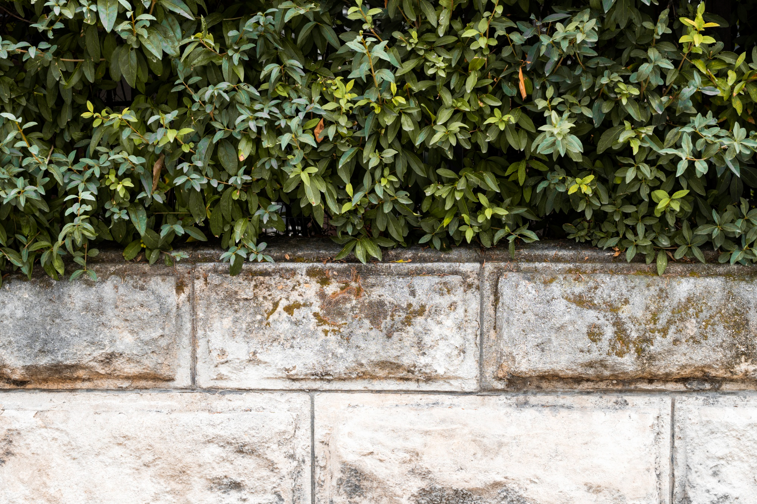 A Guide to Using Concrete Corner Blocks in Tight Garden Spaces