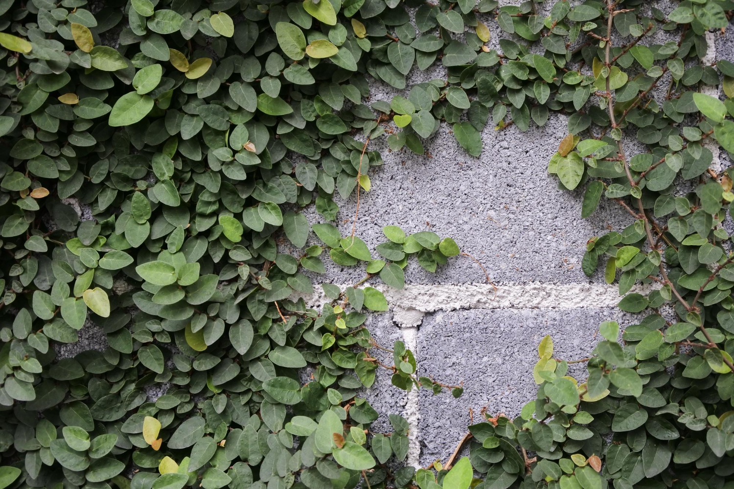 Why Garden Concrete Blocks Can Sink After Winter Rains