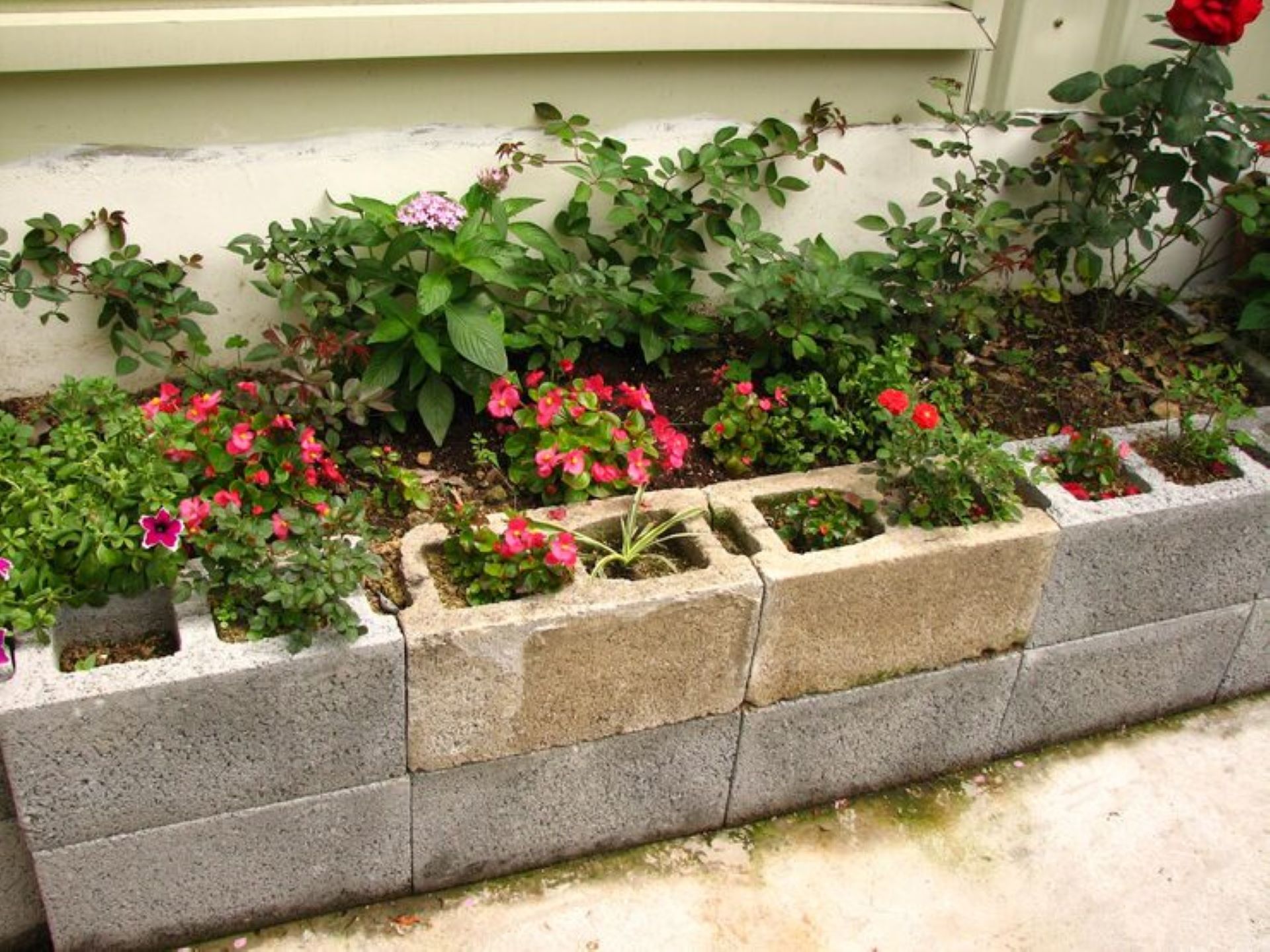 Steps to Fix a Block Concrete Foundation Before Planting Begins