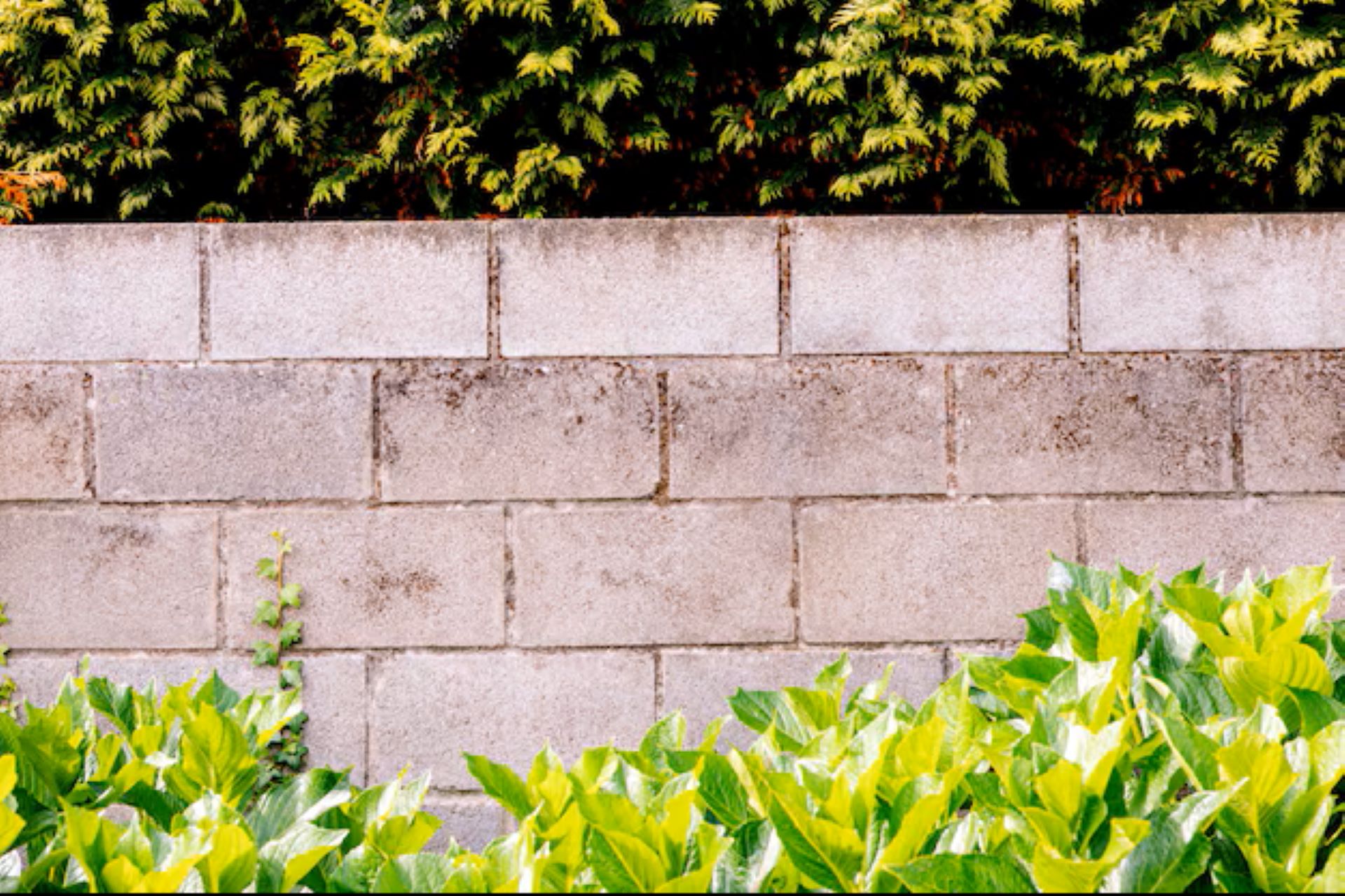 Steps to Spot Concrete Block Wall Issues Before Planting Season