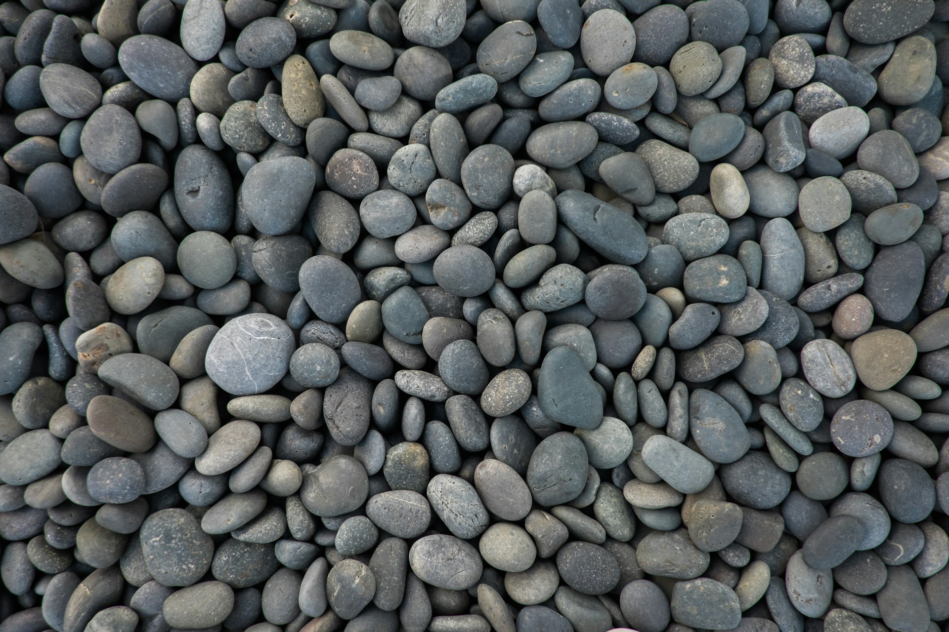 What to Avoid When Using Garden Pebbles for Spring Divider Lines