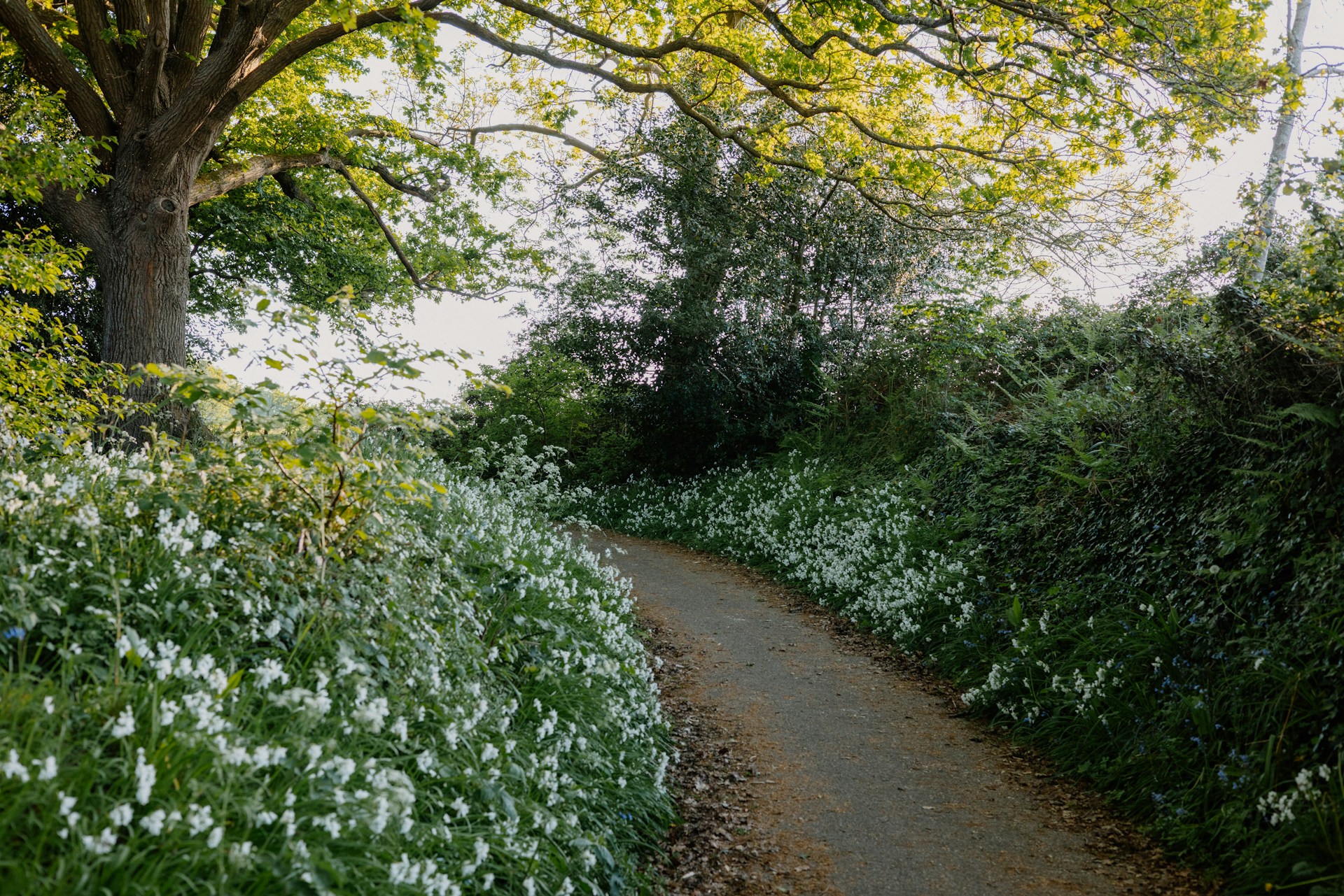 Garden Path Materials That Stay Cool in Los Angeles Heat