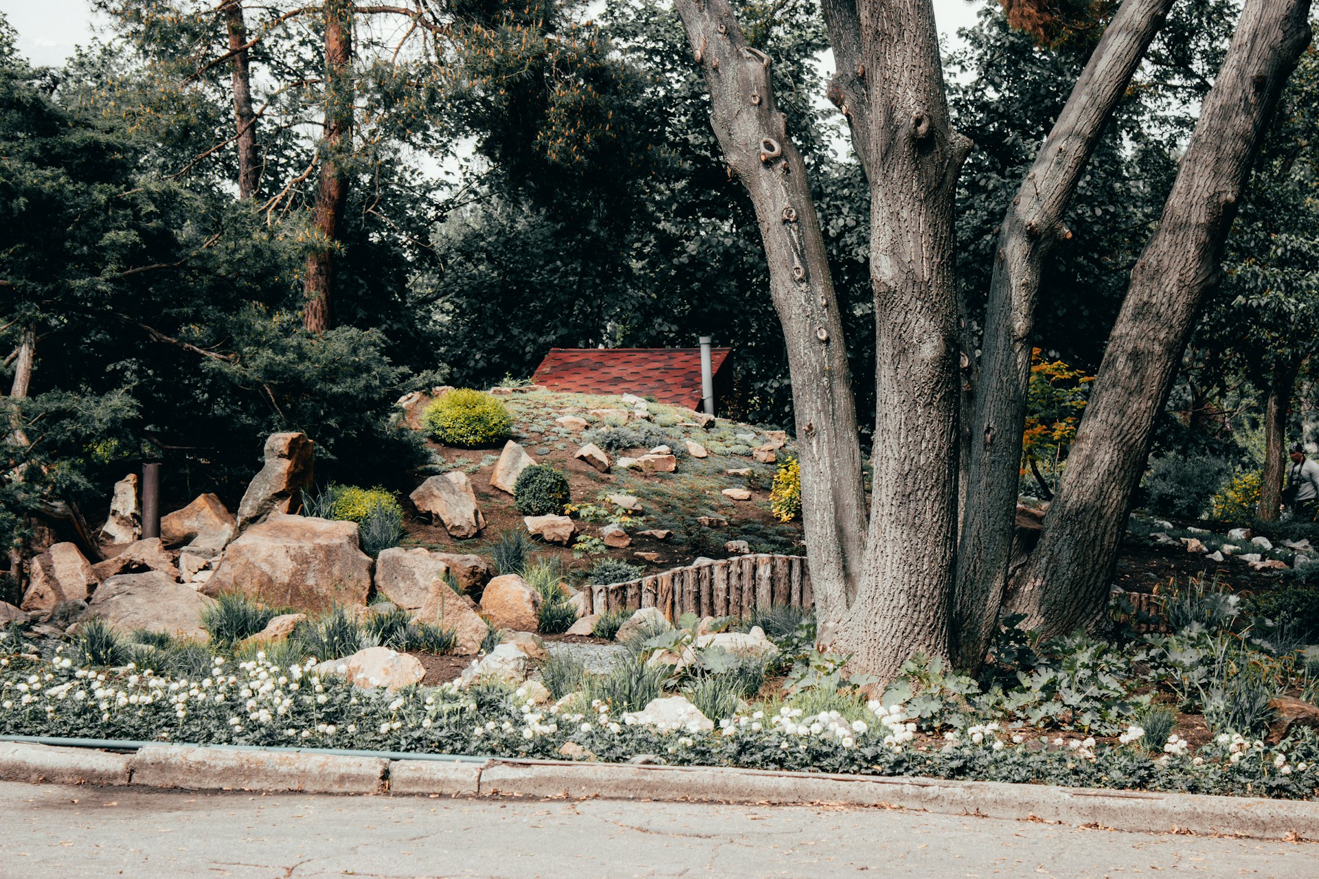 Signs Your Los Angeles Yard Needs Landscape Rock Delivery