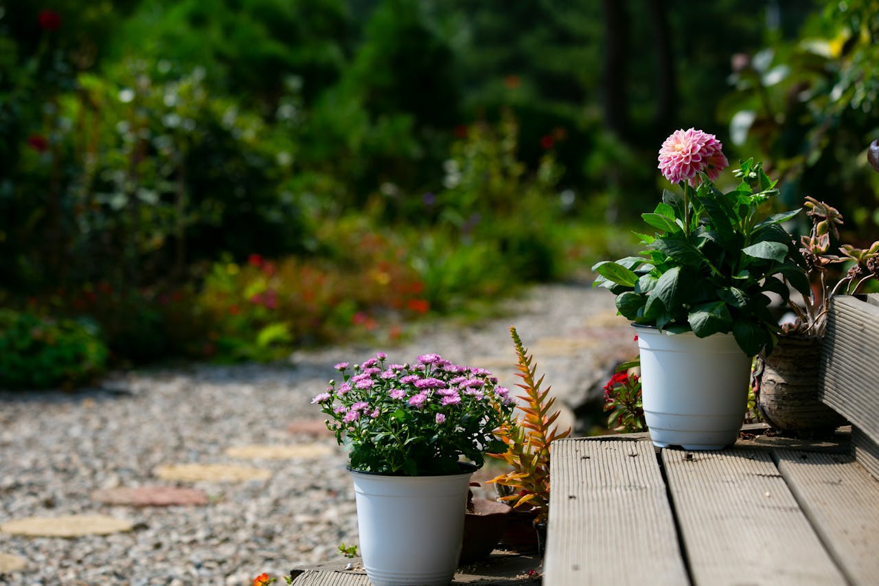 Design Mistakes That Ruin Gravel Gardens in Los Angeles Heat