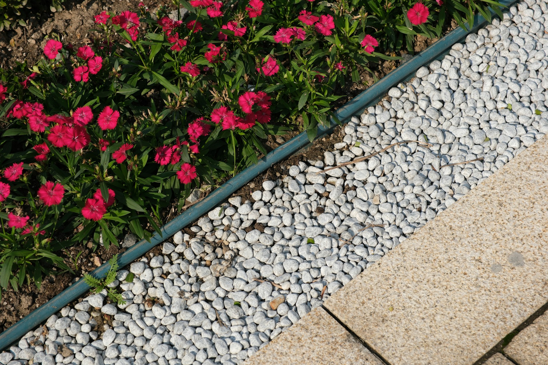 Creating Rock Garden Gravel Strips Along Los Angeles Fences