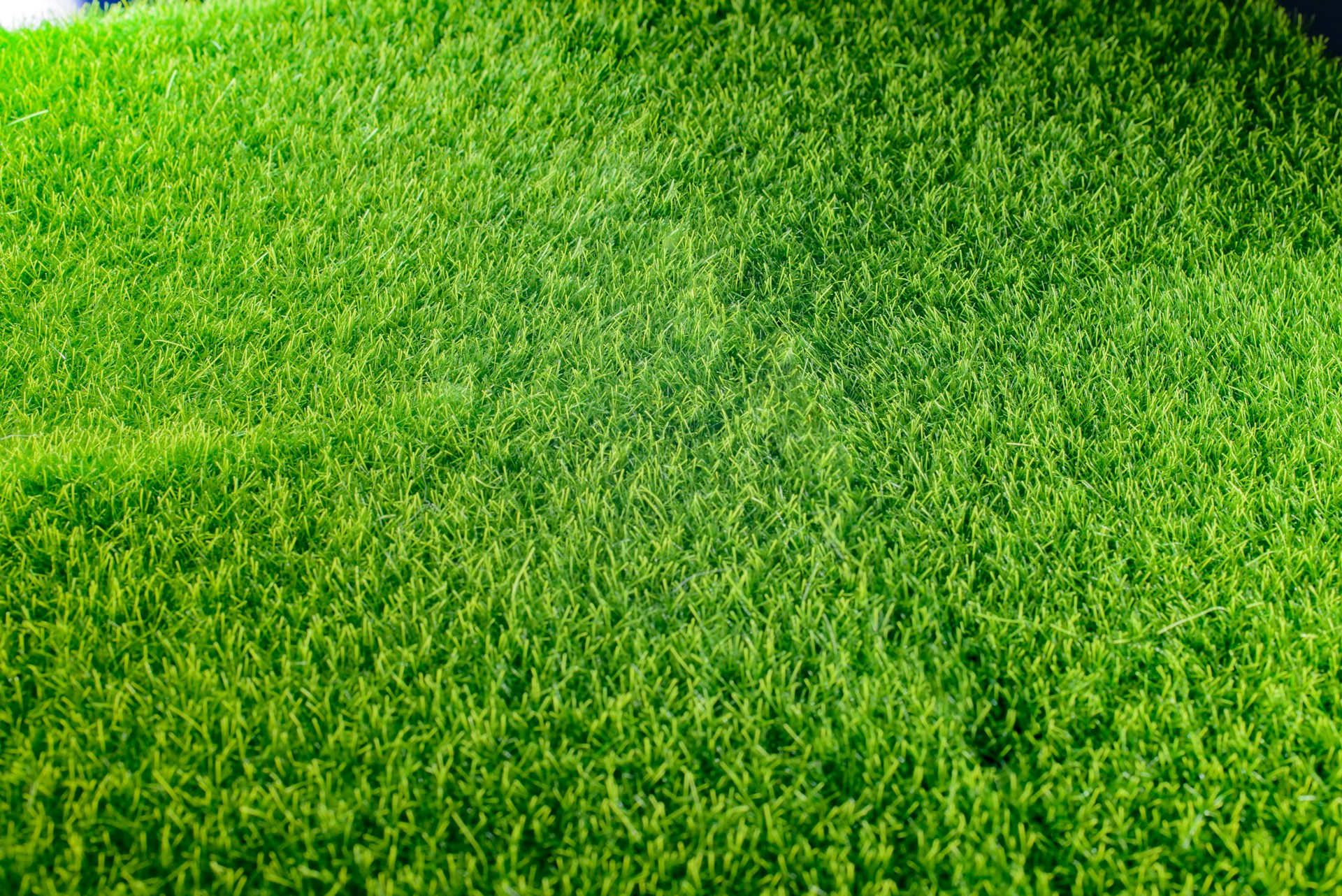 Questioning Grass Lawns: Is Artificial Turf Right for Los Angeles Yards?