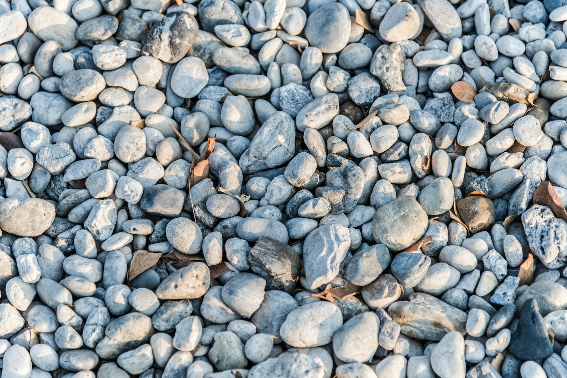 Summer Gravel Garden Pathways That Reduce Backyard Dust