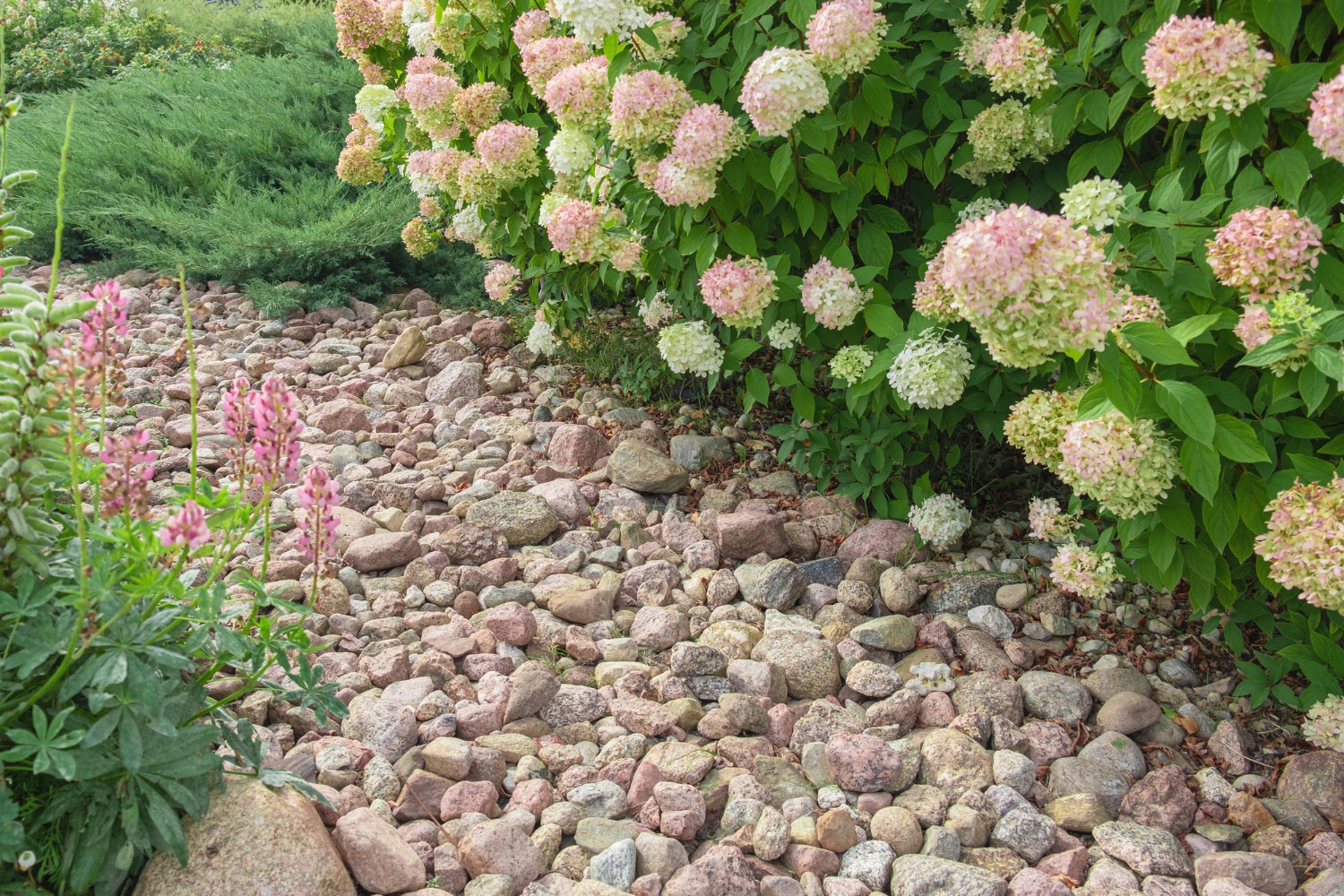 Smart Gravel Garden Design for Los Angeles Hillside Yards