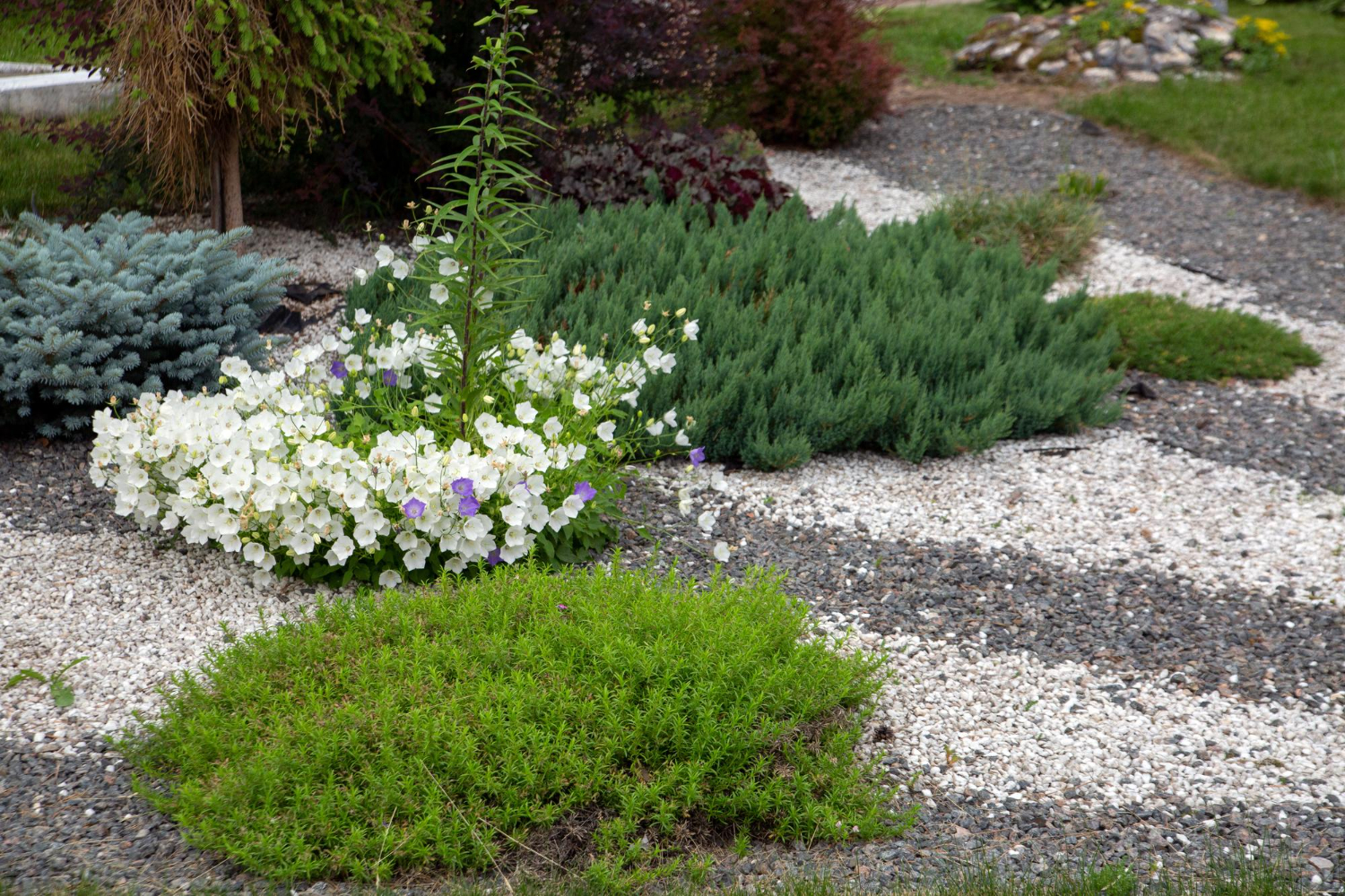 Decoding Garden Bed Materials for Gravel Gardens in LA