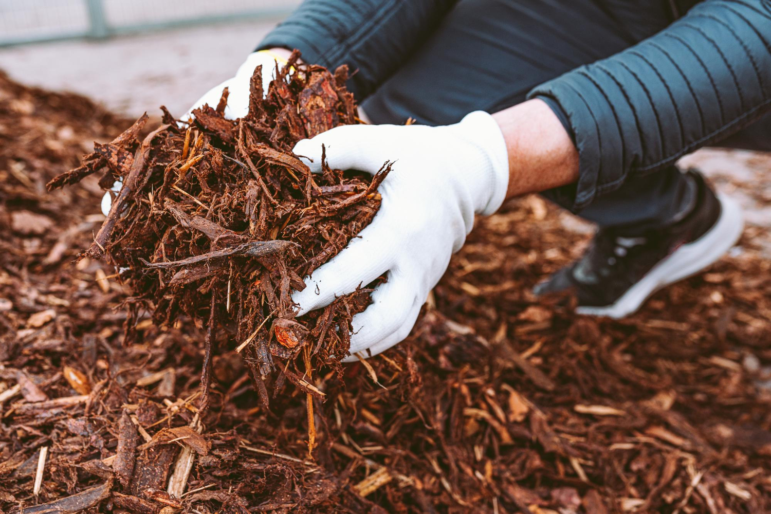 Choosing Garden Bed Materials That Survive Los Angeles Heat