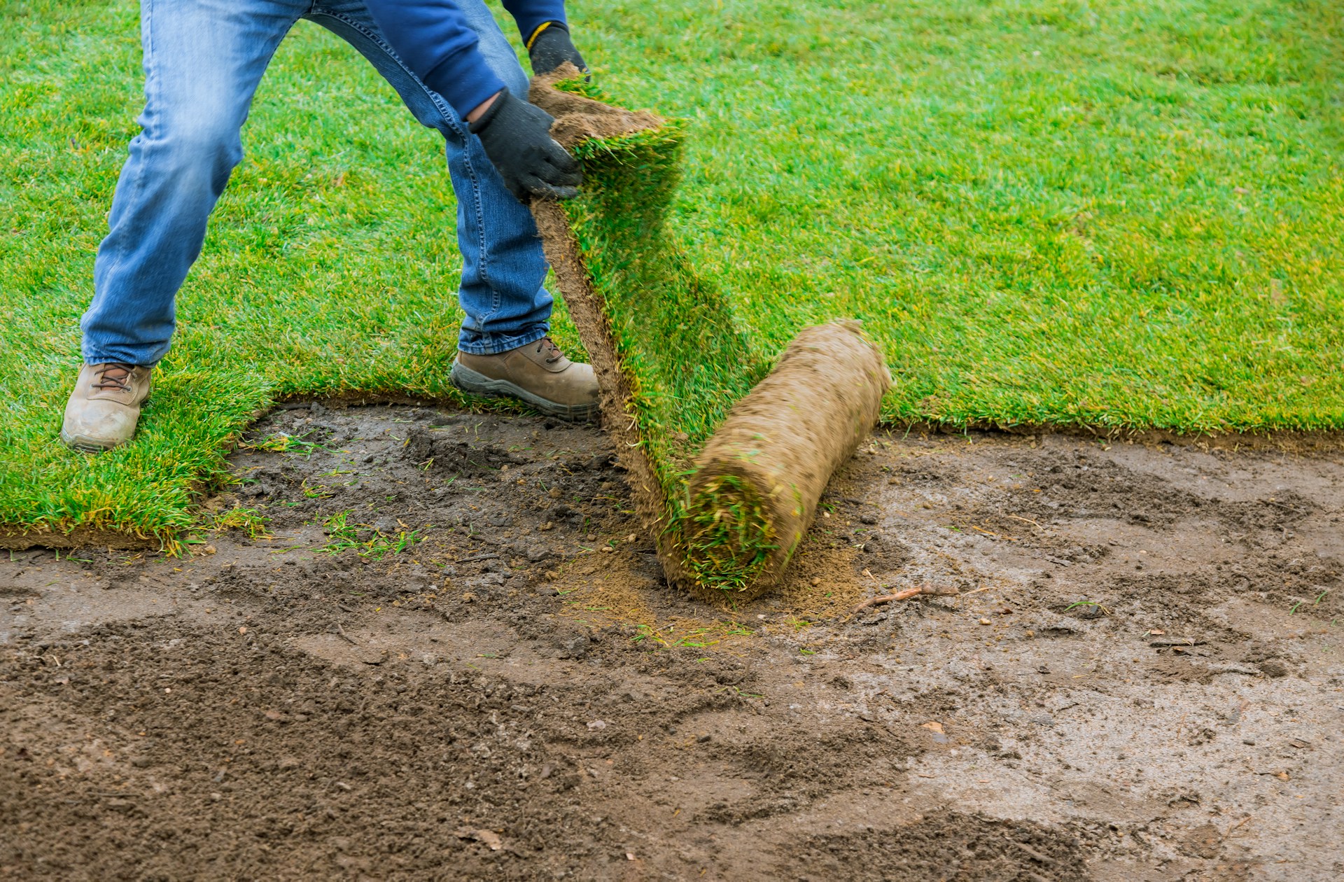 Common Landscape Construction Supply Mistakes in Los Angeles Yards