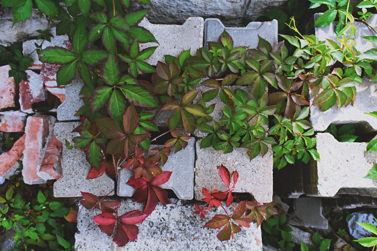 Choosing Garden Concrete Blocks for Modern Los Angeles Yards