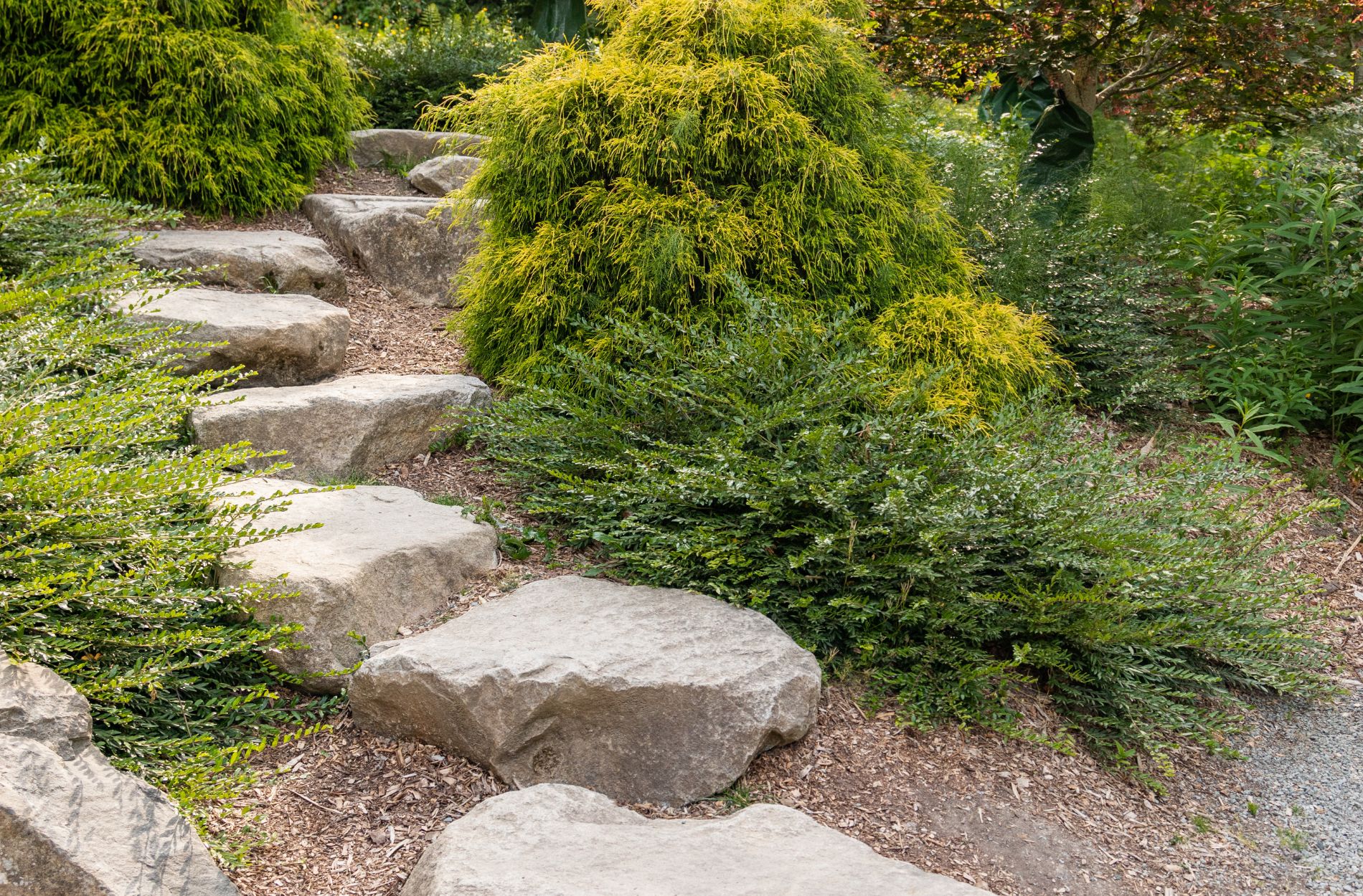 Questioning Garden Stepping Stone Layouts for Sloped Yards