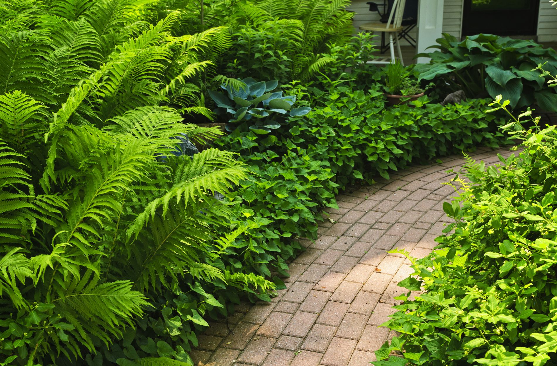 Brick Paths for Tight LA Yards: Layout Tricks, ADA Widths, Lighting