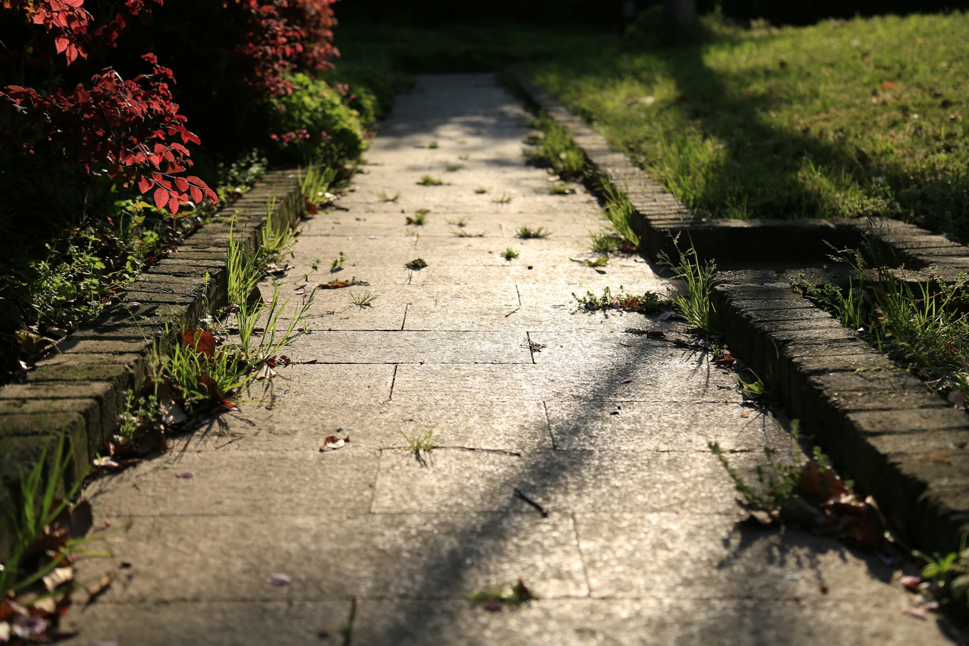 Brick Path Drainage Fixes: Retrofit Options