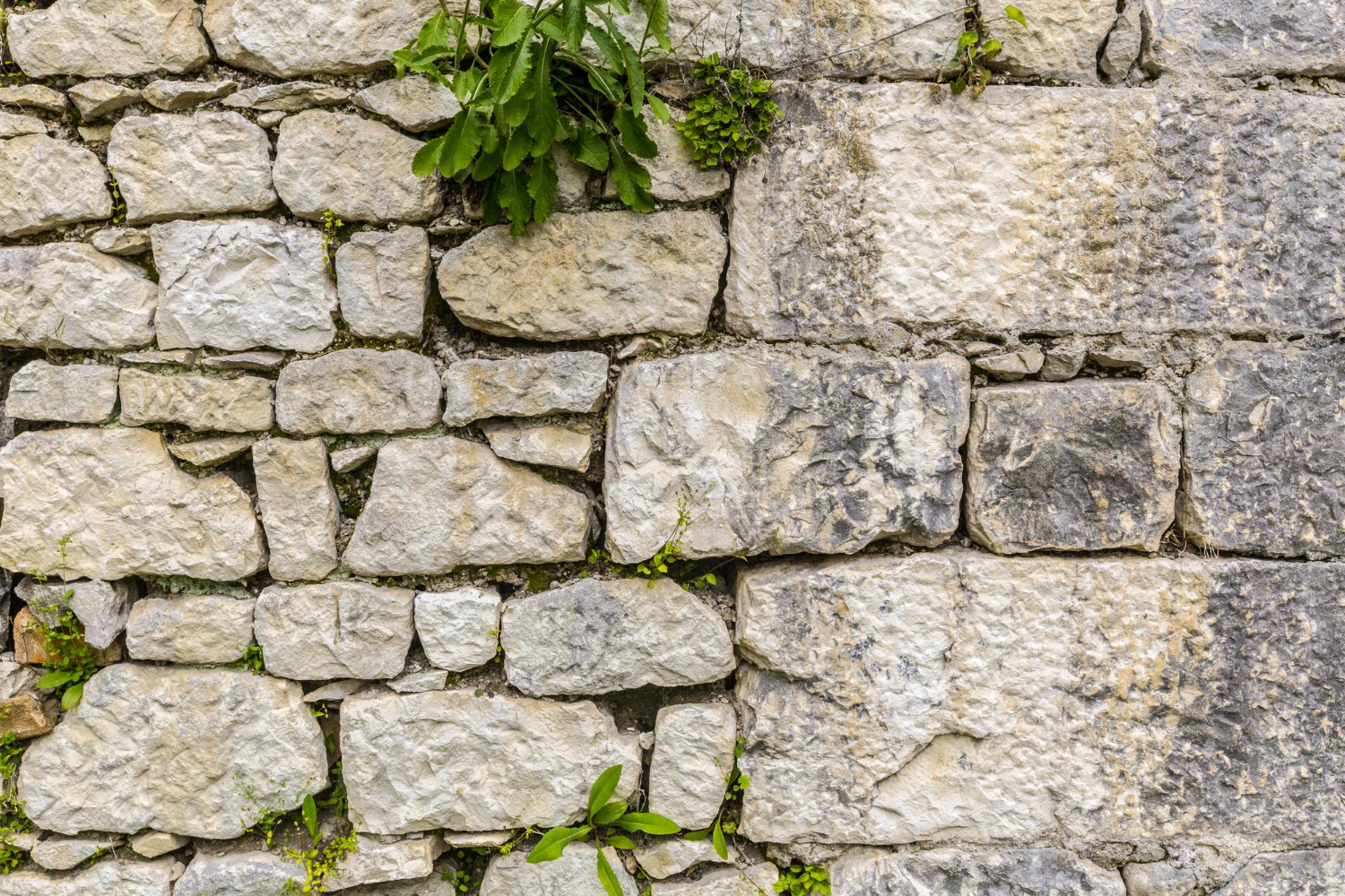 Common Brick Retaining Wall Mistakes in Los Angeles Yards