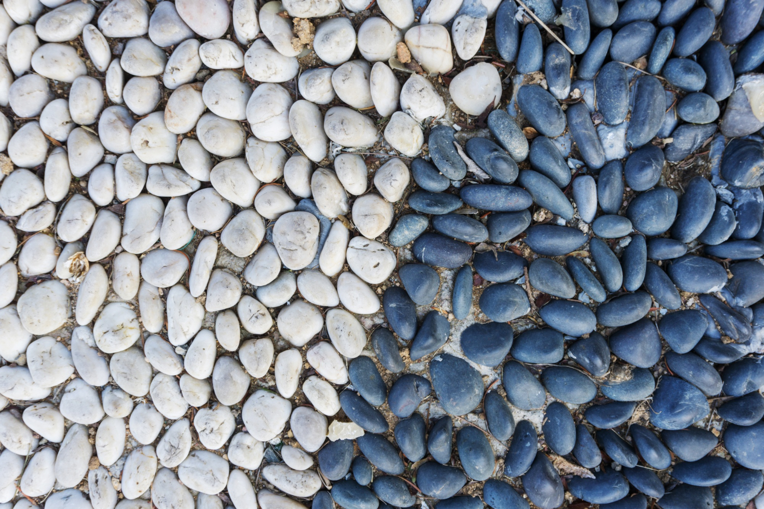 Planning Pebble Garden Paths for Shared Family Backyards