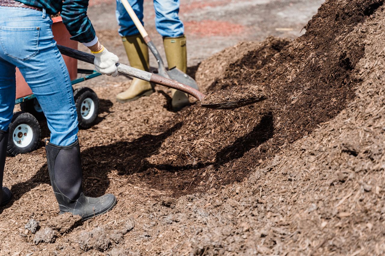 Seasonal Mulch Switches in Los Angeles Yards: When They Matter
